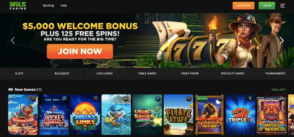 Wild casino review: homepage